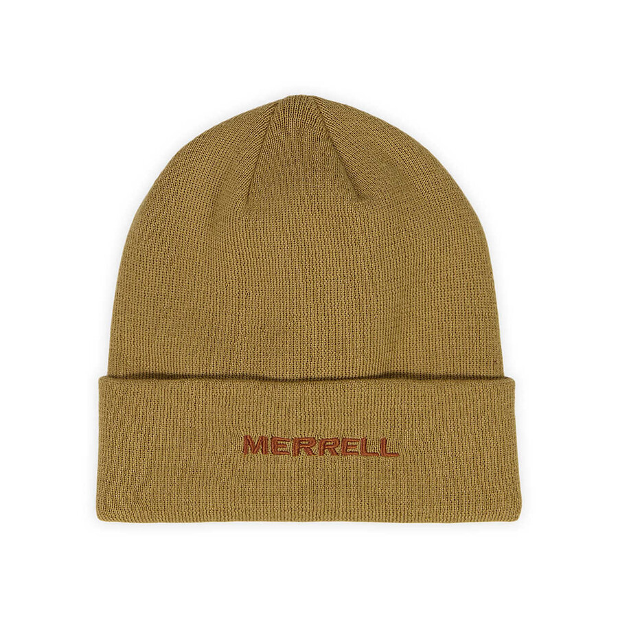 powell core logo beanie - hats harvest